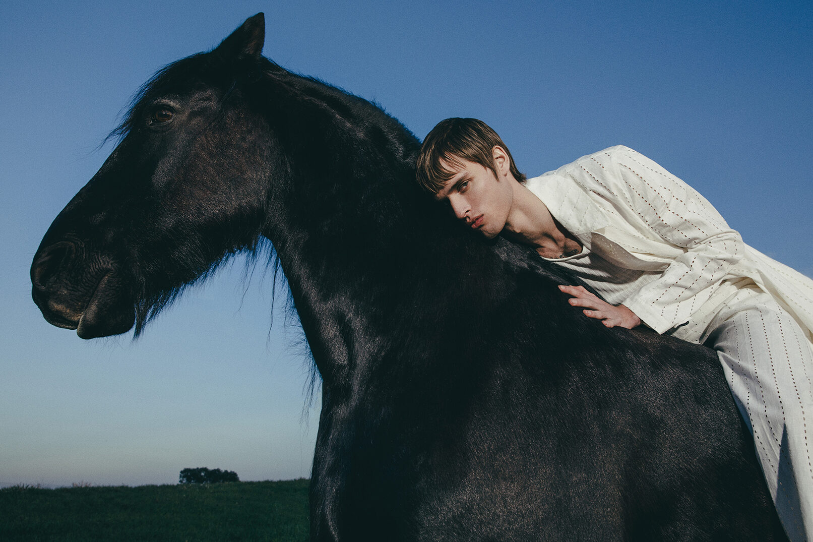 collectiveinterest, Dsection Magazine