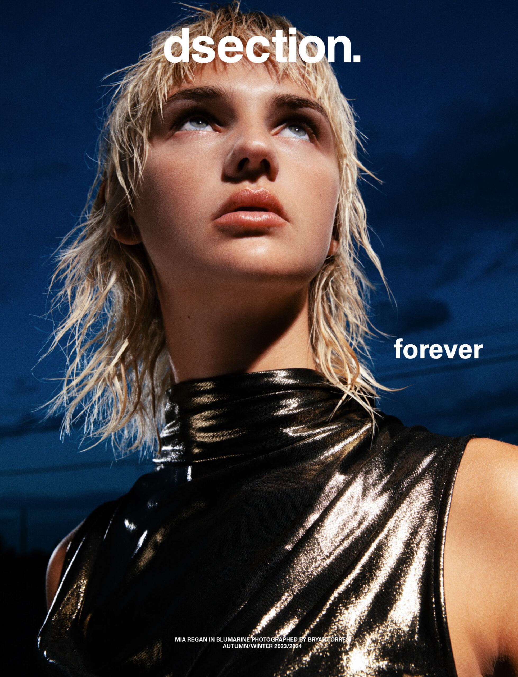 Dsection Magazine