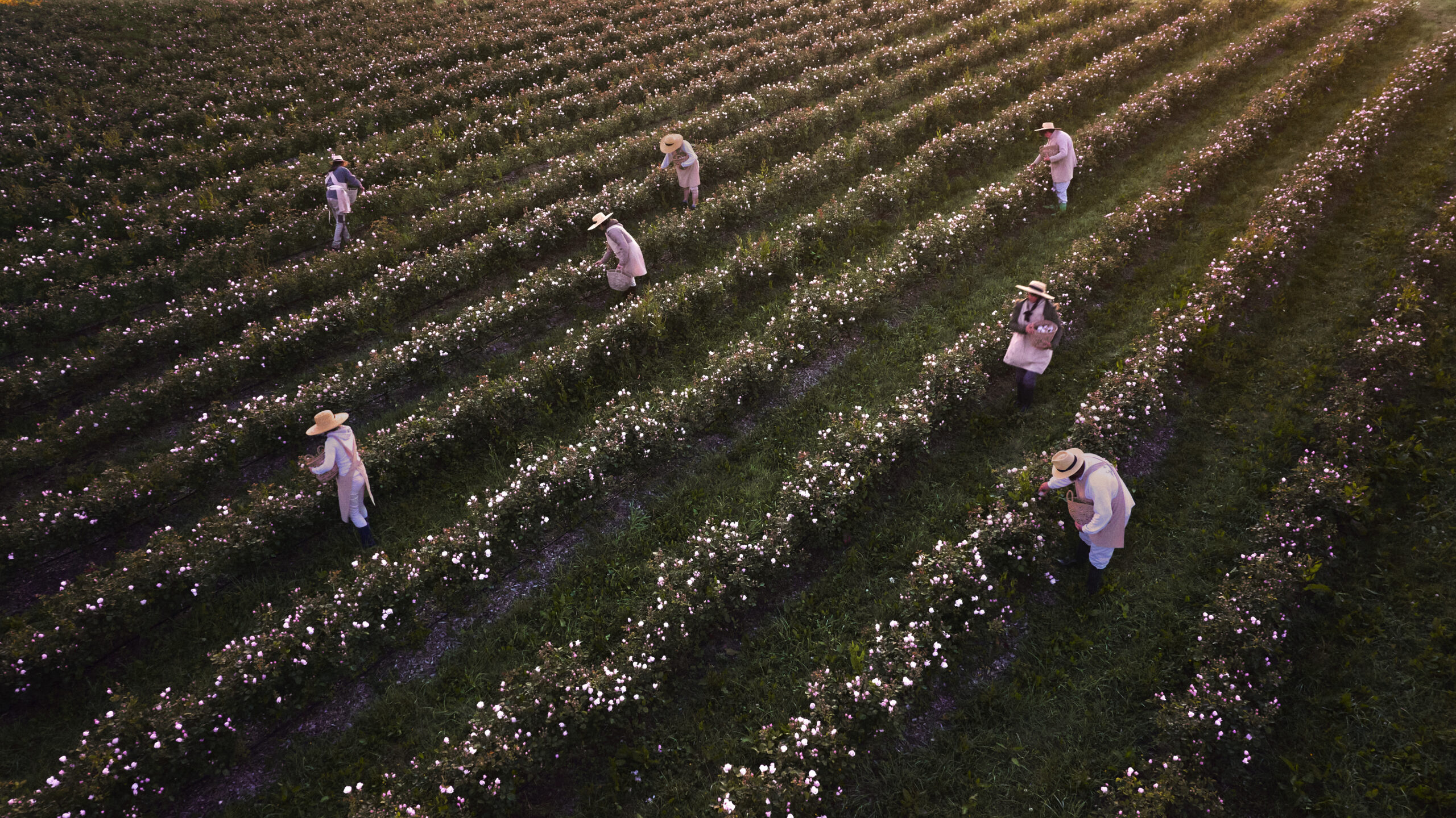 collectiveinterest, Dior Beauty