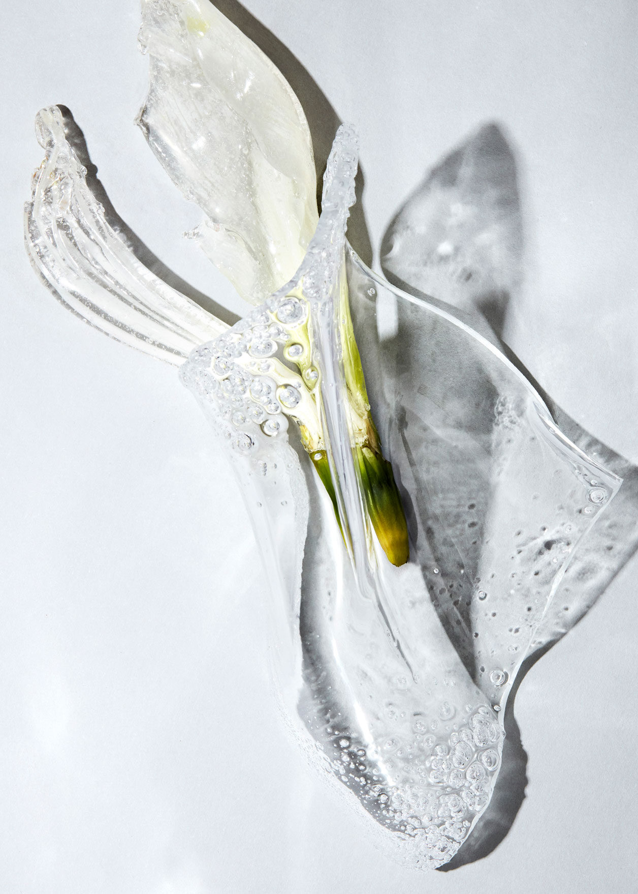 collectiveinterest, Tush Magazine