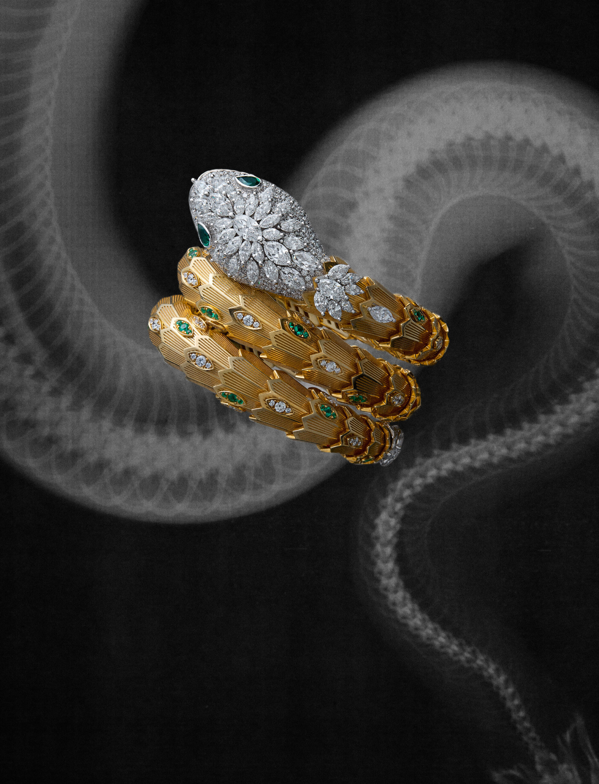 collectiveinterest, Numéro Switzerland