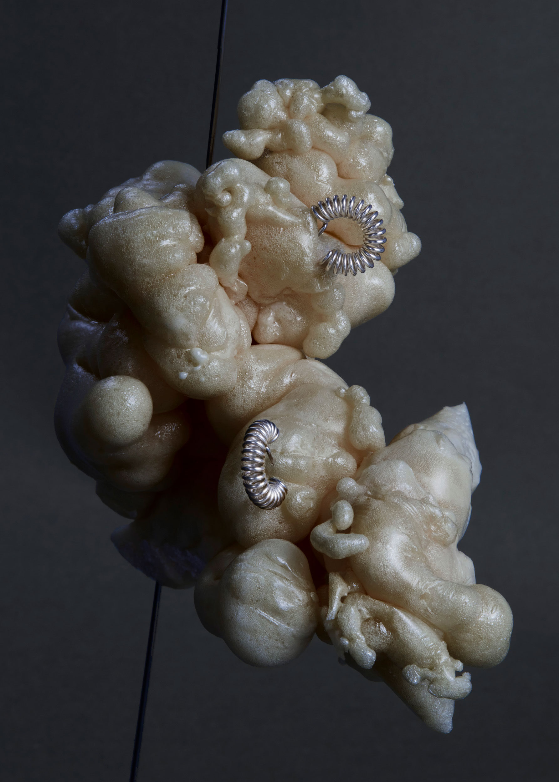 collectiveinterest, Chrysalis