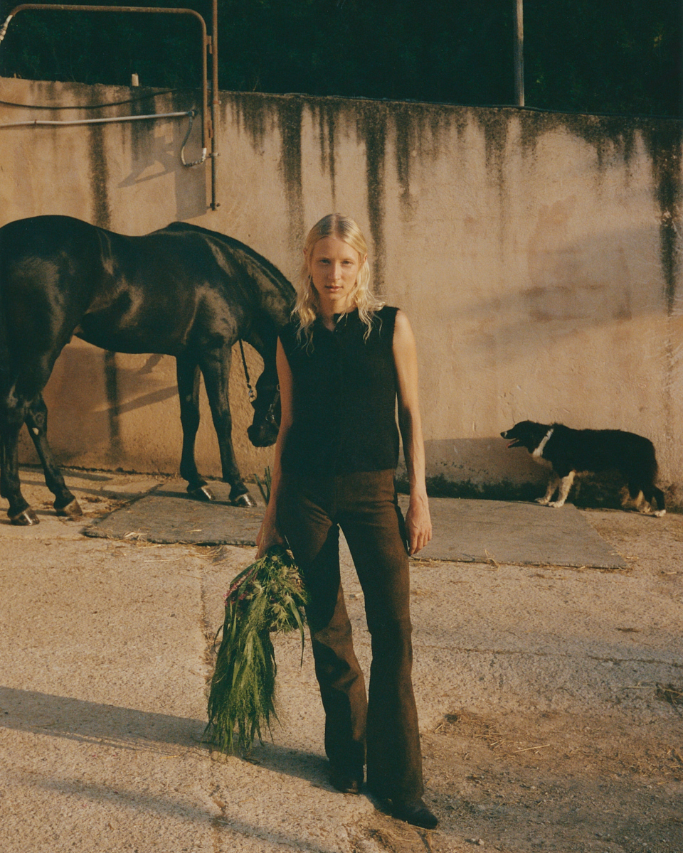 collectiveinterest, Roots