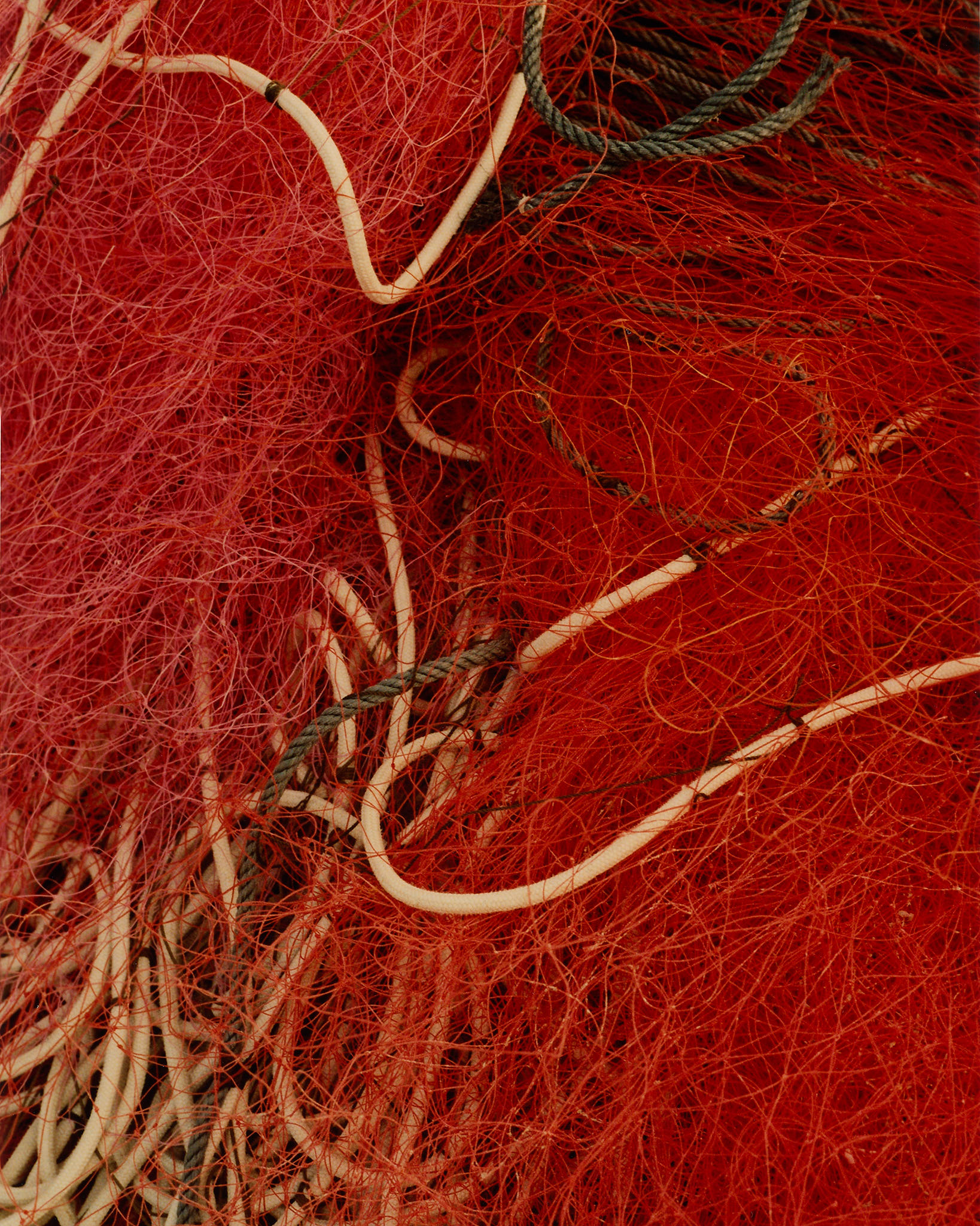 collectiveinterest, guillem lopez  nicolau