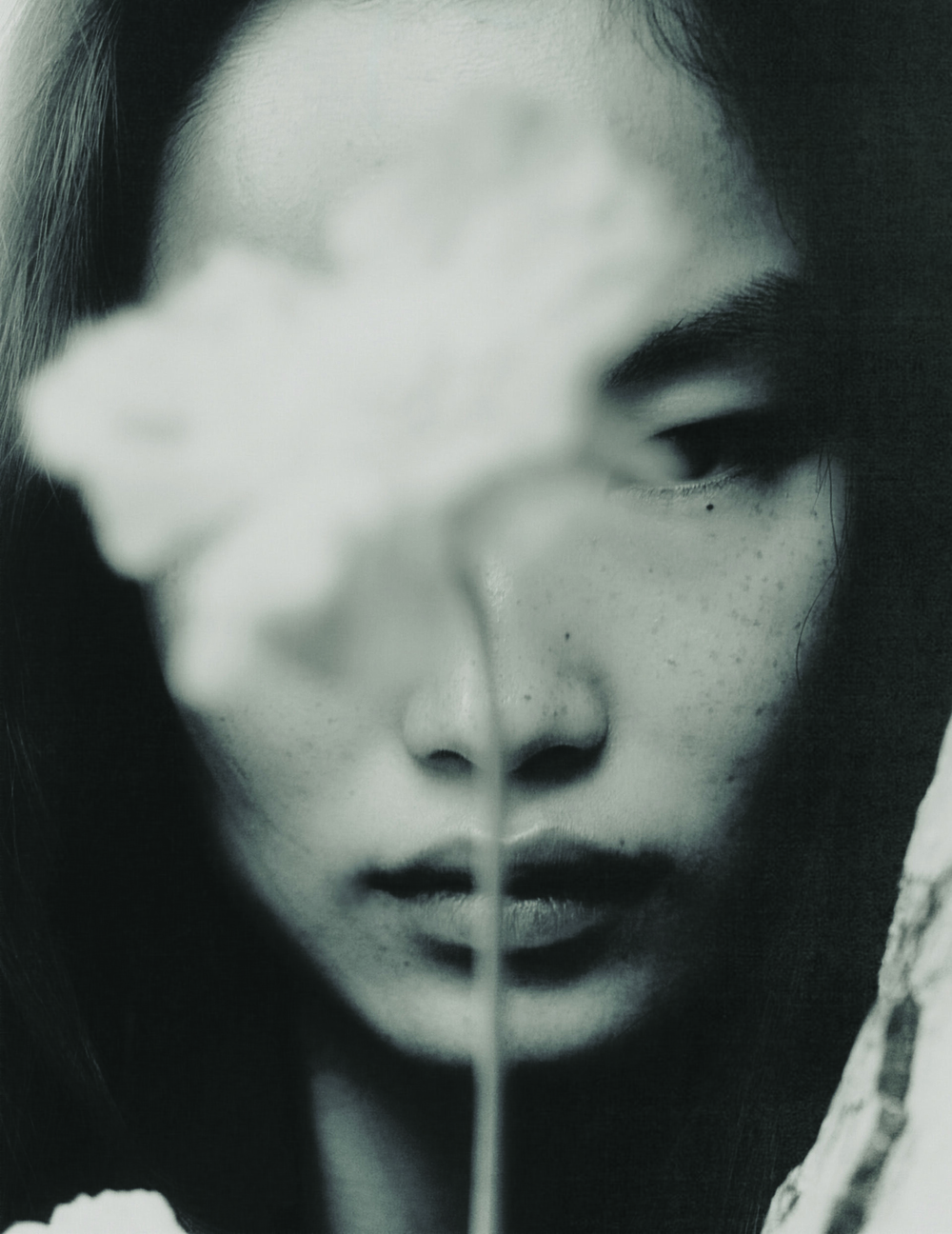 collectiveinterest, Esra  Sam