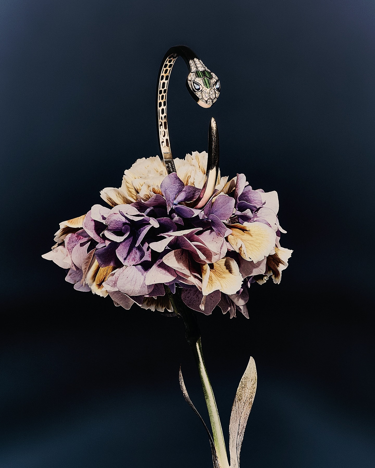 BVLGARI x Grazia